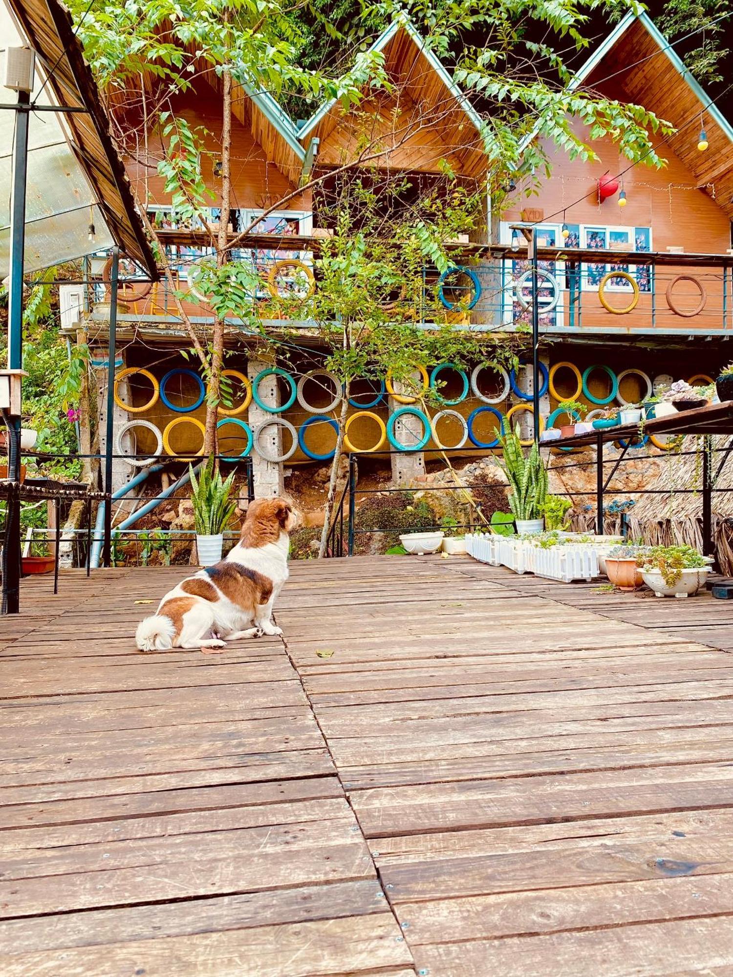 Homestay Gau Smile - Moc Chau Son La Eksteriør bilde