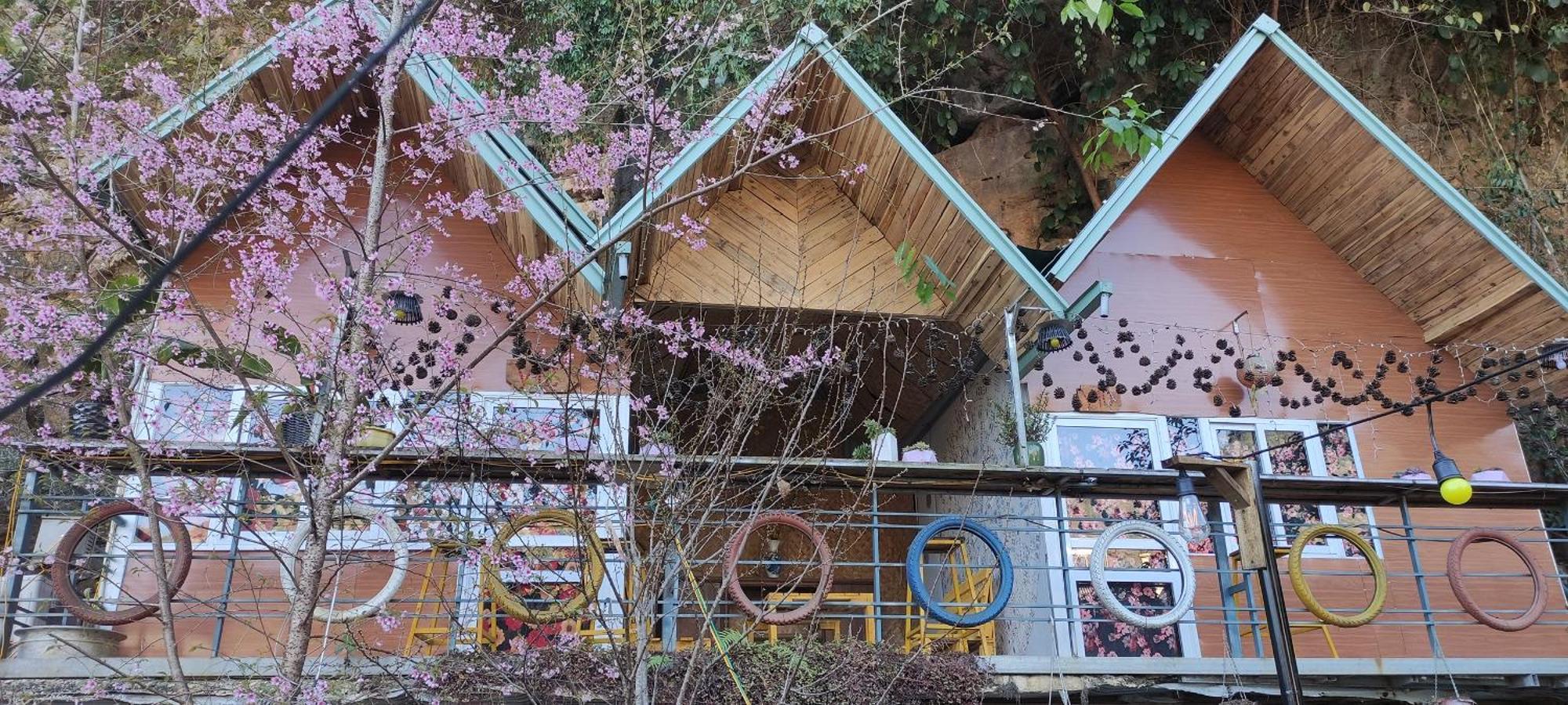 Homestay Gau Smile - Moc Chau Son La Eksteriør bilde