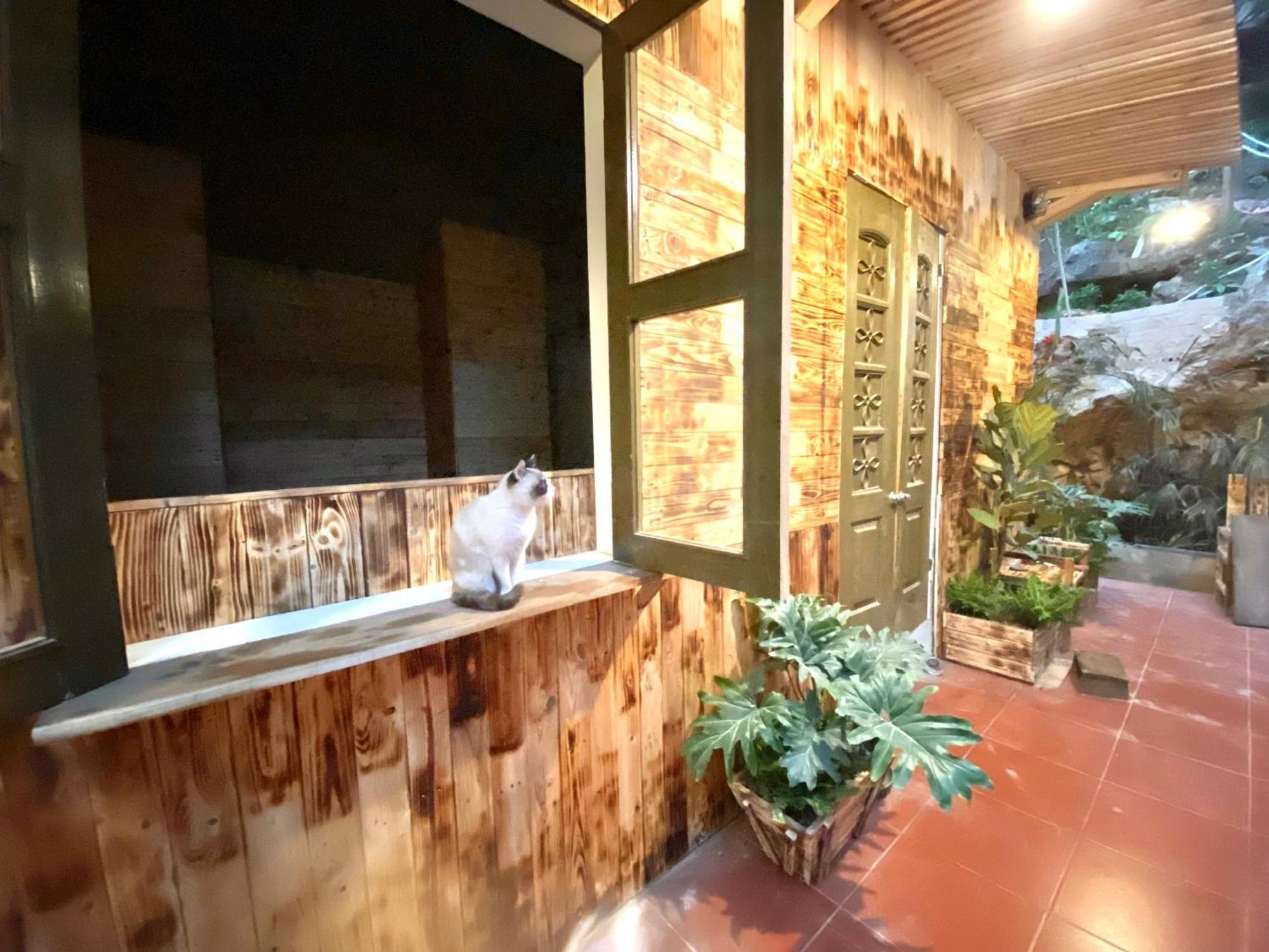 Homestay Gau Smile - Moc Chau Son La Eksteriør bilde